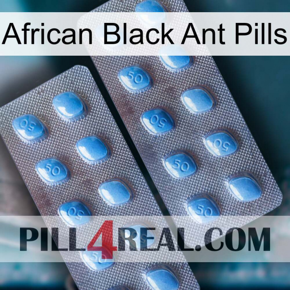 African Black Ant Pills viagra4.jpg